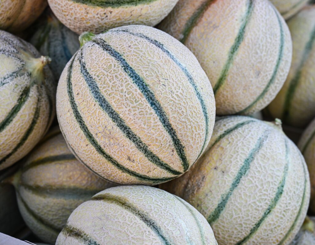 Melon vert