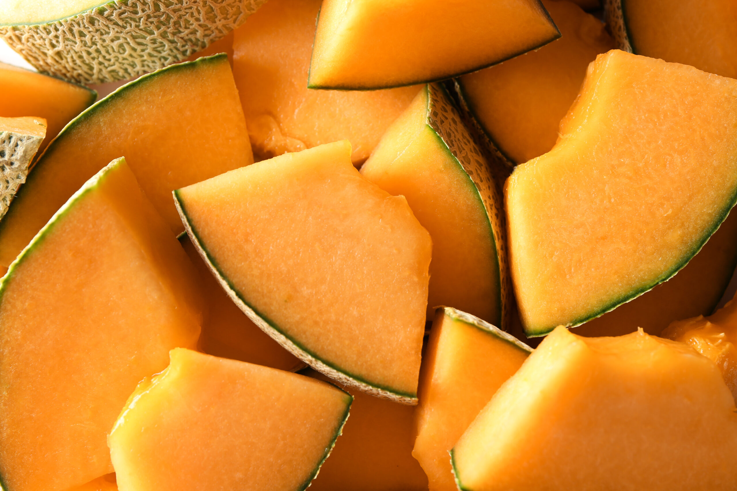  Le melon de Provence : un fruit d&rsquo;&eacute;t&eacute; au c&oelig;ur de l&rsquo;expertise SAPAM 