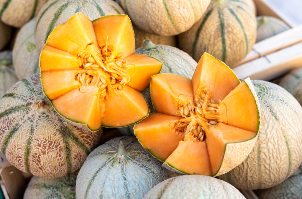 Melon de Cavaillon