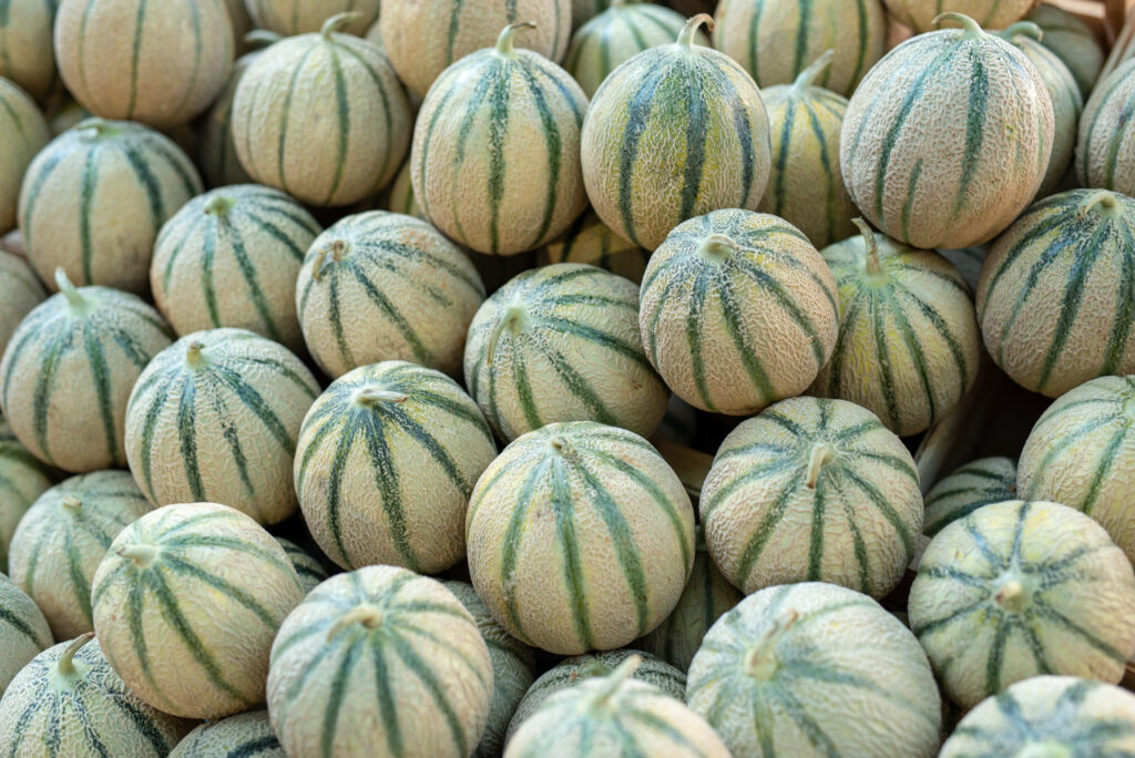 Melons